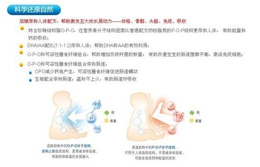 消除脂肪肝的饮食之道